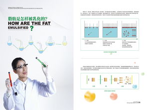 山東專業工業產品彩頁設計服務解析 從價格因素到企業策劃的完整指南